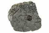Red Embers Garnet in Graphite - Massachusetts #313676-1